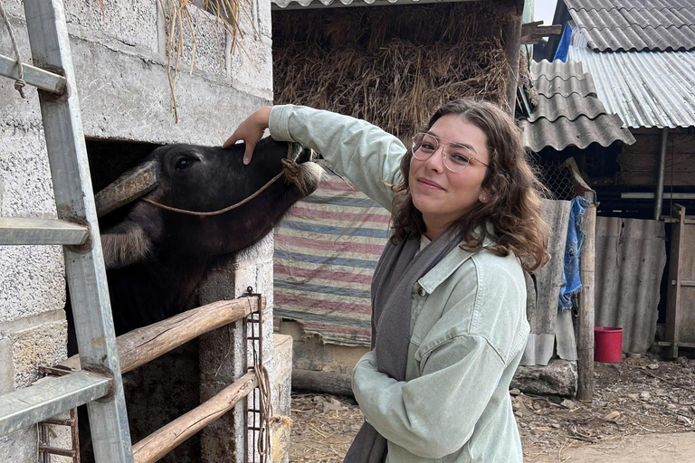 Desde Ha Noi: Excursión en bucle de 3 días por Cao Bang Visita a un pueblo local