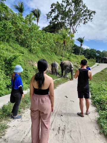 Phuket: Eco Guided Tour at Elephant Sanctuary