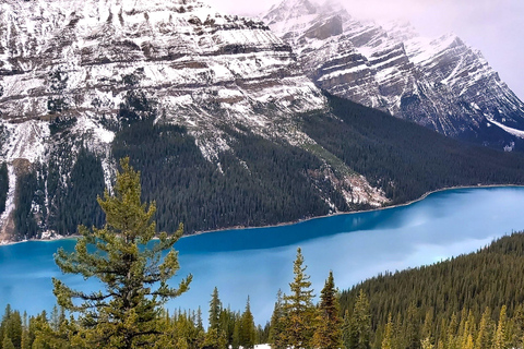 Calgary, Canmore, Banff, gondol, Lake Louise, Peyto/Emerald