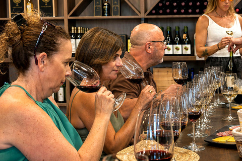 Malaga: Spanish Wine Tasting with 5 Wines and Pairing Tapas