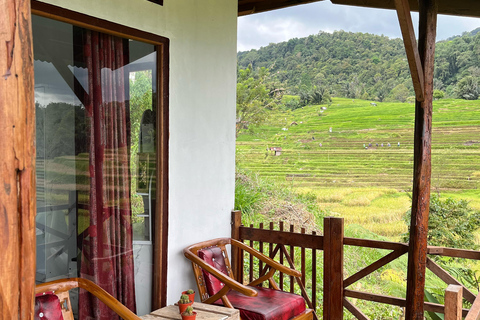 Mount Sago: Summit Zen & Palm Sugar Tour" Summer Experience ; Sikabu-kabu