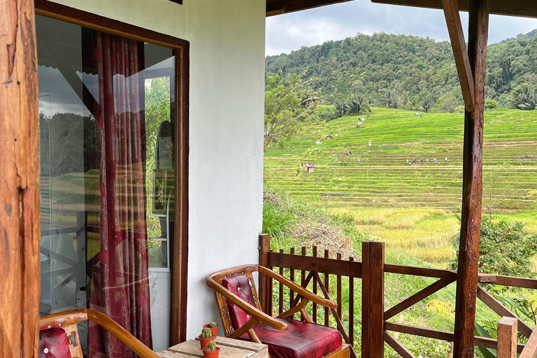 Mount Sago: Summit Zen & Palm Sugar Tour" Summer Experience ; Sikabu-kabu