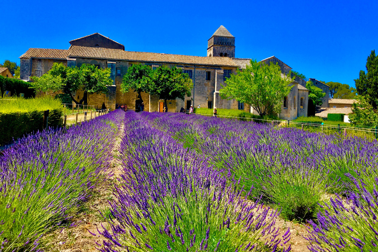 追随梵高的脚步