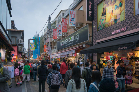 Excursão de 1 dia a Tóquio: Skytree, Santuário Meiji com motorista inglês