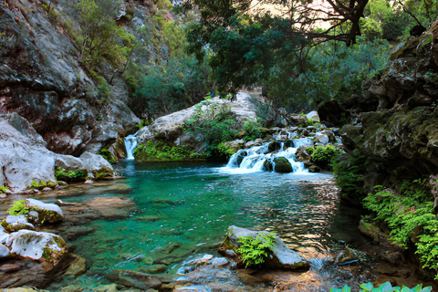 From Agadir/Taghazout: Paradise Valley & Atlas Mountain Tour Tour with lunch