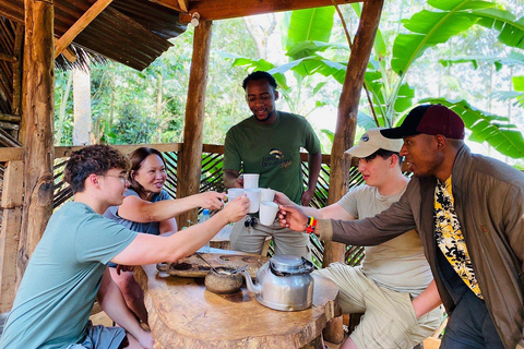 Excursión de un día a las Cascadas de Materuni: finca de café y aguas termales