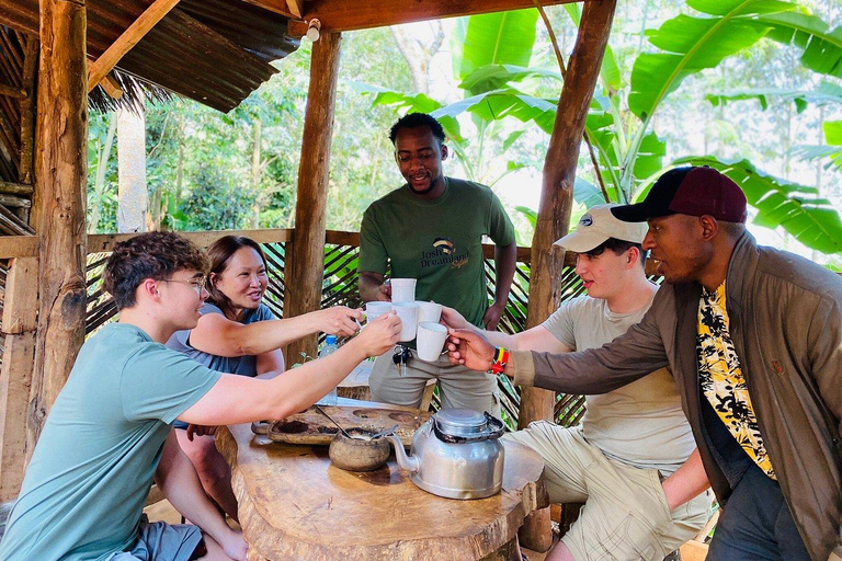 Excursión de un día a las Cascadas de Materuni: finca de café y aguas termales