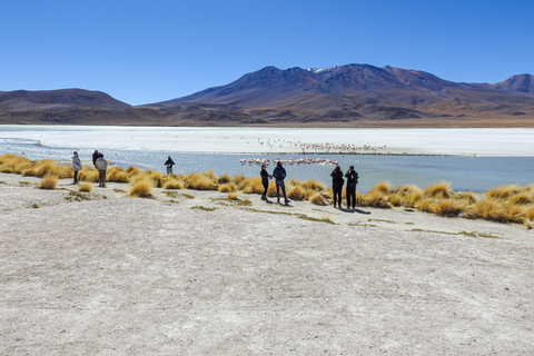La Paz: 5-Day Uyuni Salt Flats Journey with Return ENGLISH-SPEAKING GUIDE
