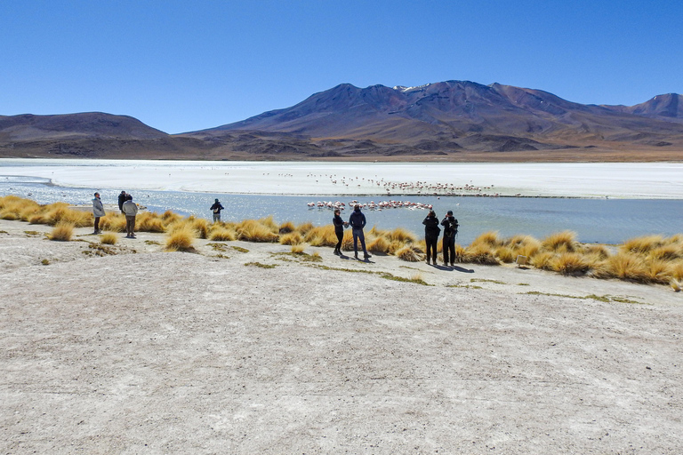 La Paz: 5-Day Uyuni Salt Flats Journey with Return ENGLISH-SPEAKING GUIDE