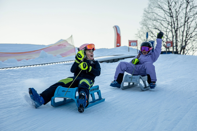 Grindelwald: Sledding at Bodmi Arena