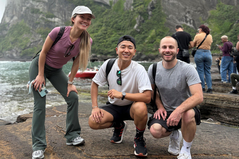Jeju Trendy Café Tour including Snoopy Garden