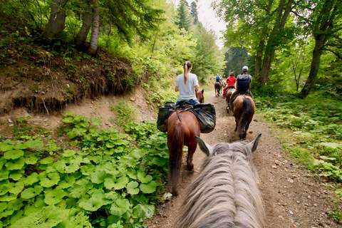 Rovaniemi: Passeio a cavalo na natureza selvagem do ÁrticoPasseio a cavalo na região selvagem do Ártico - Grupo pequeno