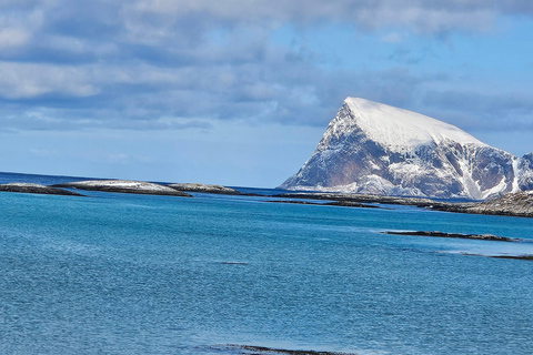 Tromsø: Arctic Fjords Tour. Sommerøya and Kvaløya with Lunch