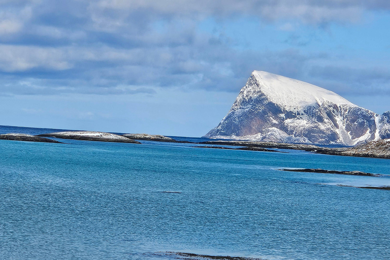 Tromsø: Arctic Fjords Tour. Sommerøya and Kvaløya with Lunch