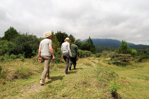 Arusha: viagem de 1 dia ao Parque Nacional com excursão a péArusha: Viagem de 1 dia ao Parque Nacional com excursão a pé