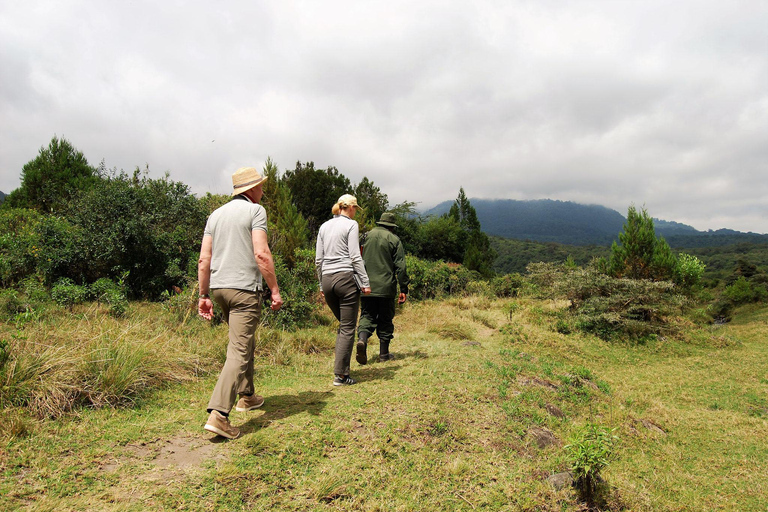 Arusha: viagem de 1 dia ao Parque Nacional com excursão a péArusha: Viagem de 1 dia ao Parque Nacional com excursão a pé