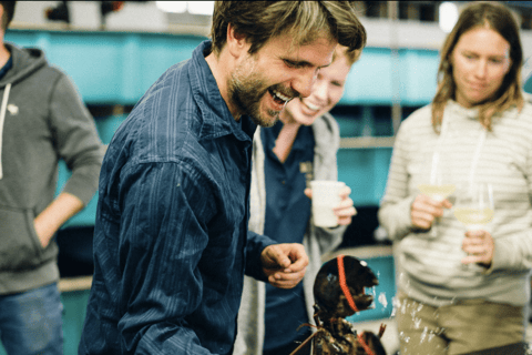 Belfast Lobster Fishing Experiences — Midcoast Maine Haul Traps & Feast: Maine Lobster Boat Experience
