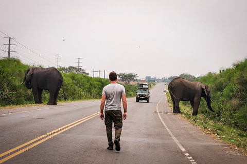 4 Tage Selous, Tarangire und Serengeti Wildtier-Safari.