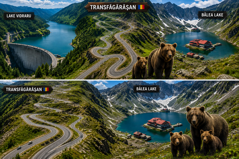 From Brașov: Transfăgărășan Scenic Drive & Poenari Tour From Brasov: Transfăgărășan & Bâlea Lake