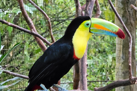 As maravilhas do vulcão Poas e os jardins da cascata de La Paz