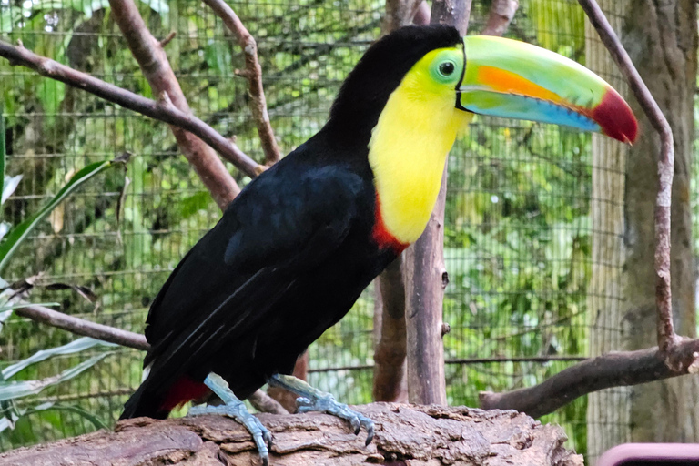 As maravilhas do vulcão Poas e os jardins da cascata de La Paz