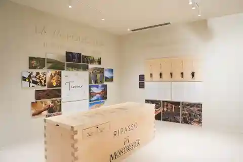 Rondleiding door het wijnmuseum en amarone proeverij