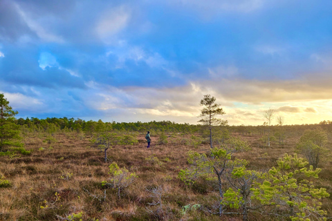 Ķemeri Bogs Adventure: Explore Wetlands In Bog Shoes