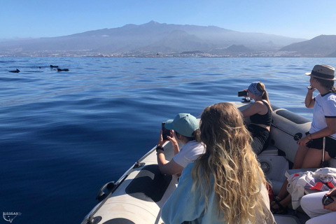 Teneriffa: Båttur med valskådning med en marinbiolog