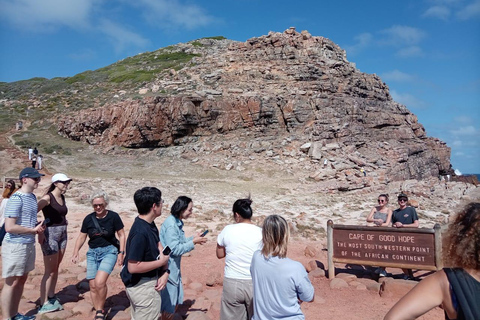 Cape town:Cape of good hope afternoon tour/penguins