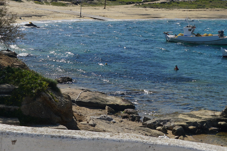 Private Island Tour: A Drive Around Mykonos' highlights
