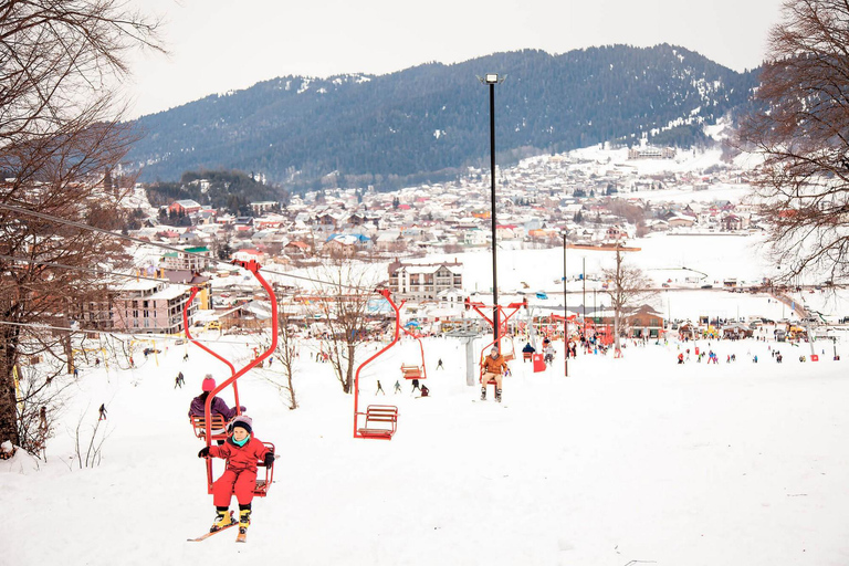 From Tbilisi: Borjomi and Bakuriani Day Trip