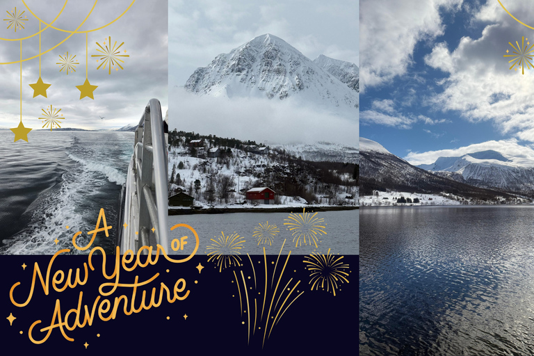 Tromsø: New Year’s Eve Cruise With Fireworks