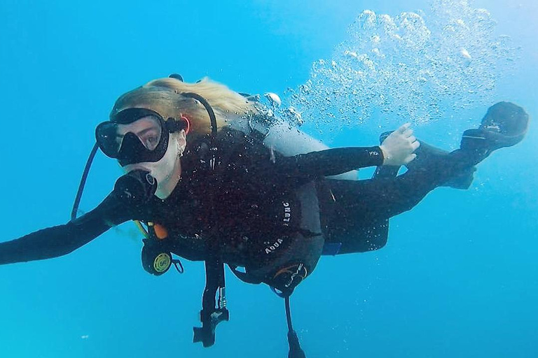 Duiken bij Catalina Island: 2 tanks - 2 plekken