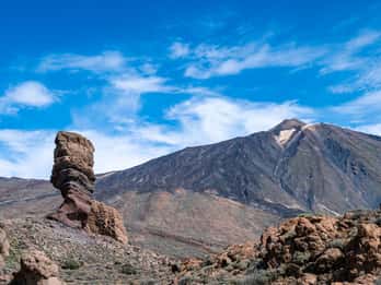 Desde Costa Adeje o Santa Cruz: Excursión Contrastes de Tenerife