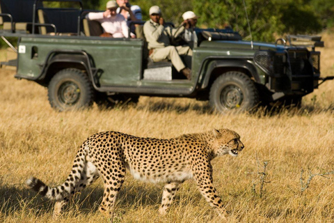 Safari de 4 jours dans le parc Kruger et le canyon de la rivière Blyde depuis Johannesburg