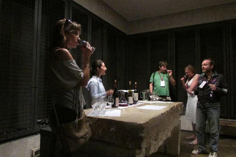 Mendoza : visite d'une jounée, visite et dégustation - 3 domaines viticolesRégion Maipu