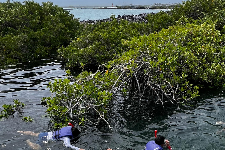 Santa Cruz: 4-Day Snorkel, Tintoreras, Pinzón & Fishing
