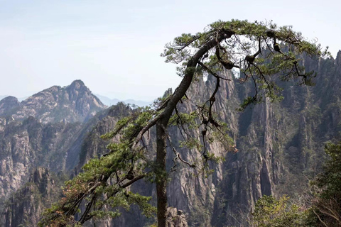 Huangshan: Mountain Top Day Trip with Cable Car and Pickup