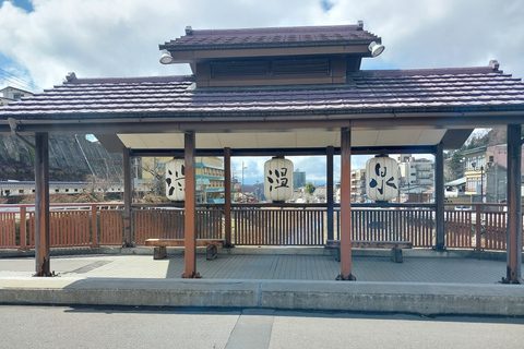 Nagano: Snow Monkey Park, Soba Lunch, and Shibu Onsen Tour Tour + Onsen Stamp Towel