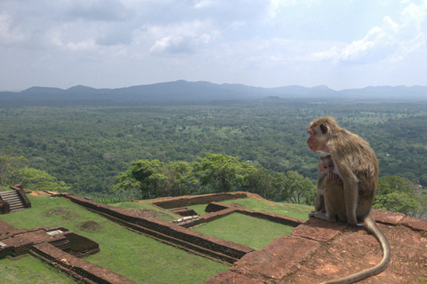 Colombo: Private Transfer to Sigiriya or Kandy with Stops