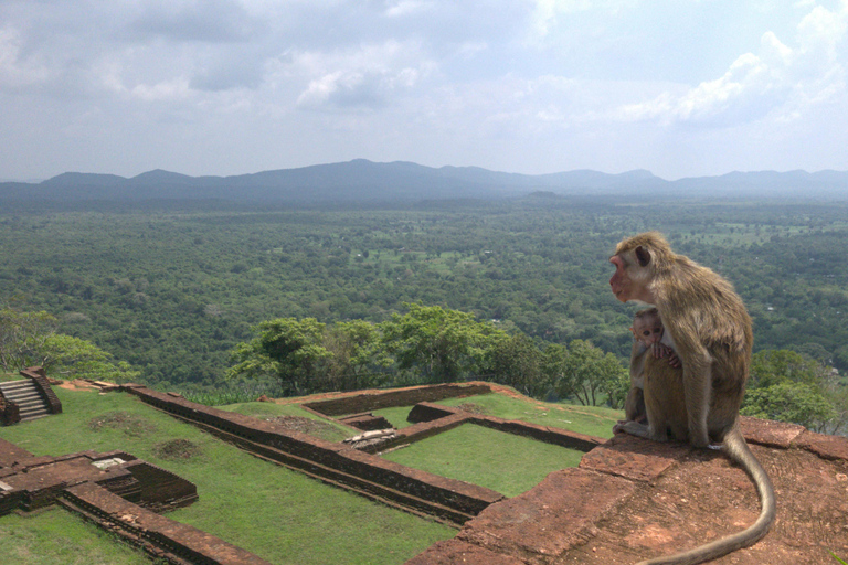 Colombo: Private Transfer to Sigiriya or Kandy with Stops