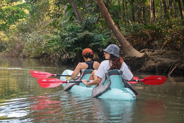 Visit Kayaking tour in the mangroves Near Manuel Antonio Park in Manuel Antonio