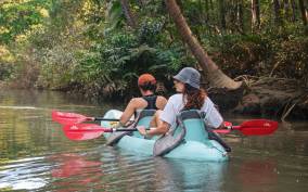 Kayaking tour in the mangroves Near Manuel Antonio Park