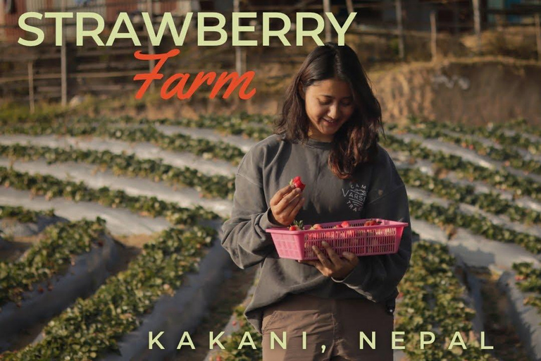 Kathmandu Wellness Escape: Kakani Yoga & Farm Visit