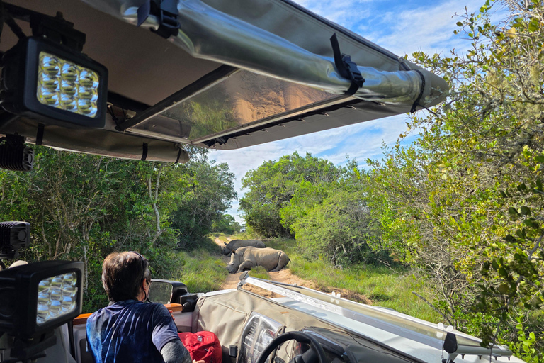 Half-Day Schotia Game Reserve (Open 4x4 Vehicle)
