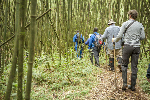 From Kigali: Bisoke Summit Trek, Crater Lake 1 Day Safari