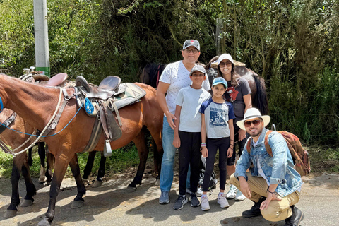 2-hour horseback riding + Private transportation + Photos & videos + Gift for the first 5 to book 2-hour horseback ride + private transportation + photos & videos + gift for the first 5 to book.