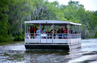 New Orleans: Sumpf-Tour auf einem überdachten Ponton-Boot