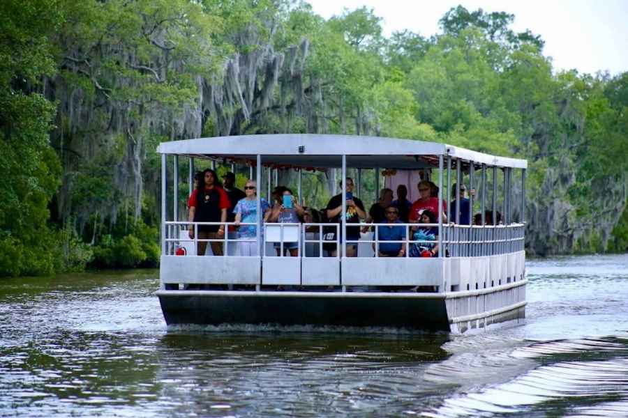 New Orleans: Sumpf-Tour auf einem überdachten Ponton-Boot. Foto: GetYourGuide