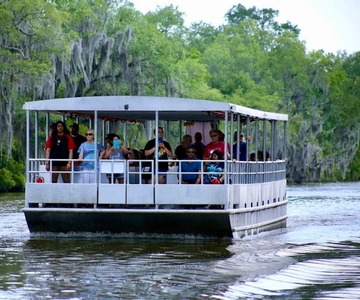 New Orleans: Swamp Tour on Covered Pontoon Boat